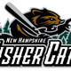 Illustration for article titled Minor Enterprise: Fisher Cats Fans, Assemble!